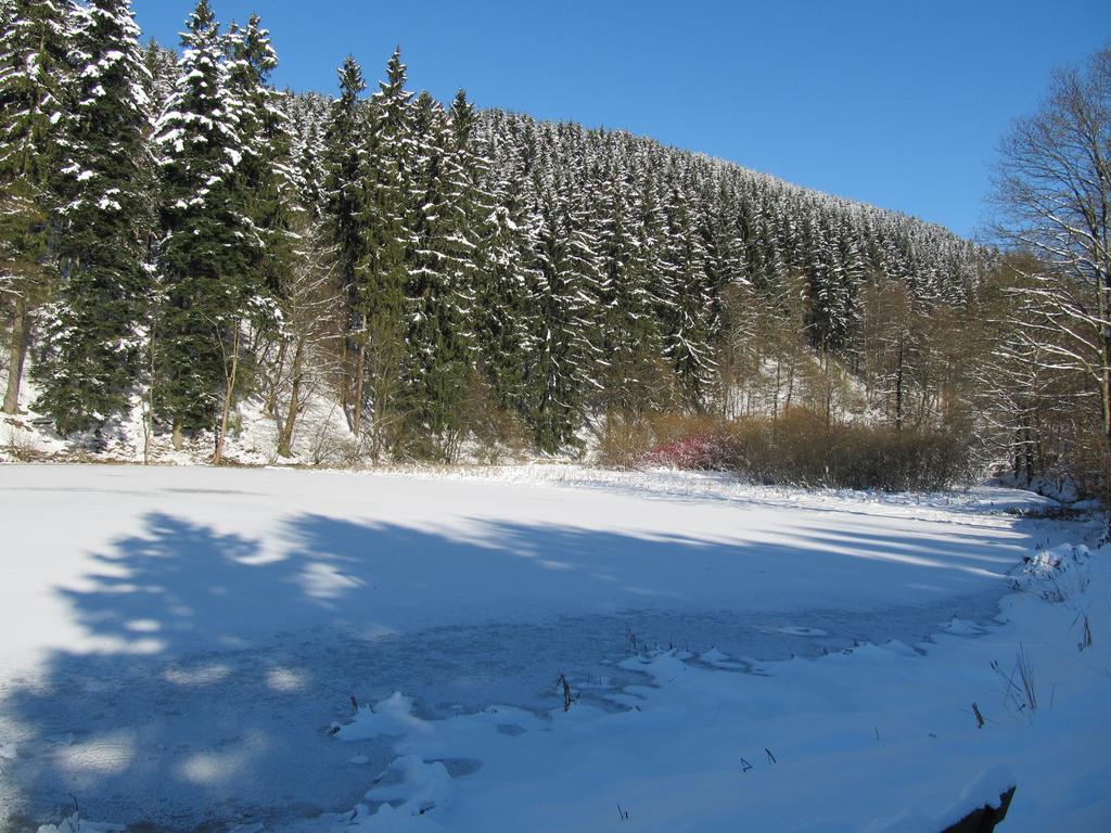 Hexenstieg House Lerbach Lägenhet Osterode am Harz Exteriör bild