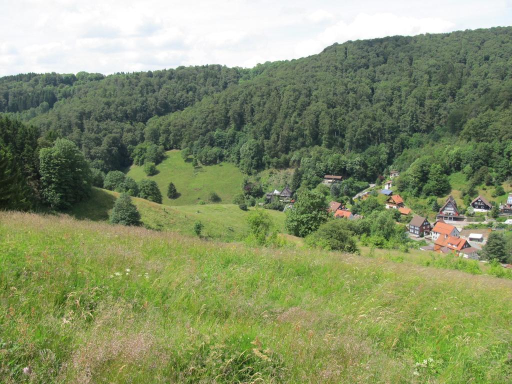 Hexenstieg House Lerbach Lägenhet Osterode am Harz Exteriör bild