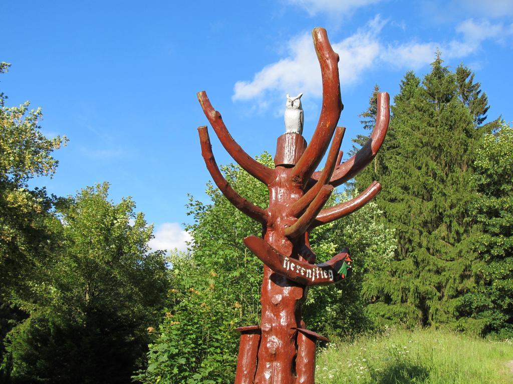 Hexenstieg House Lerbach Lägenhet Osterode am Harz Exteriör bild