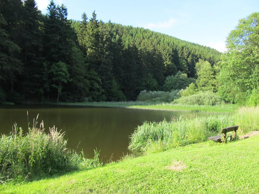 Hexenstieg House Lerbach Lägenhet Osterode am Harz Exteriör bild