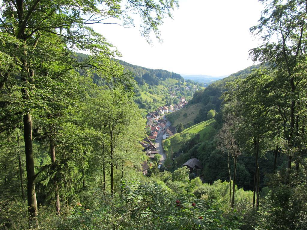 Hexenstieg House Lerbach Lägenhet Osterode am Harz Exteriör bild